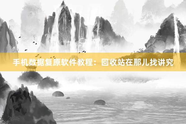 手机数据复原软件教程：回收站在那儿找讲究
