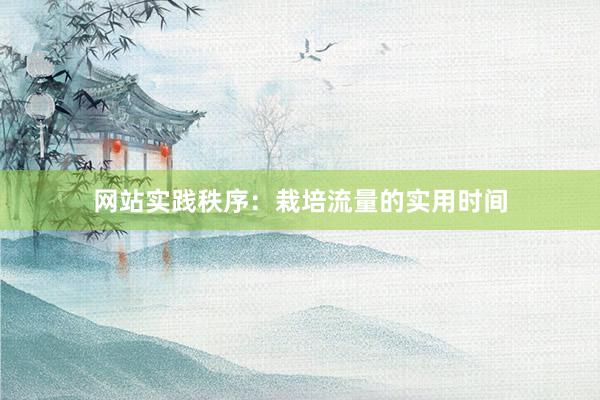 网站实践秩序：栽培流量的实用时间